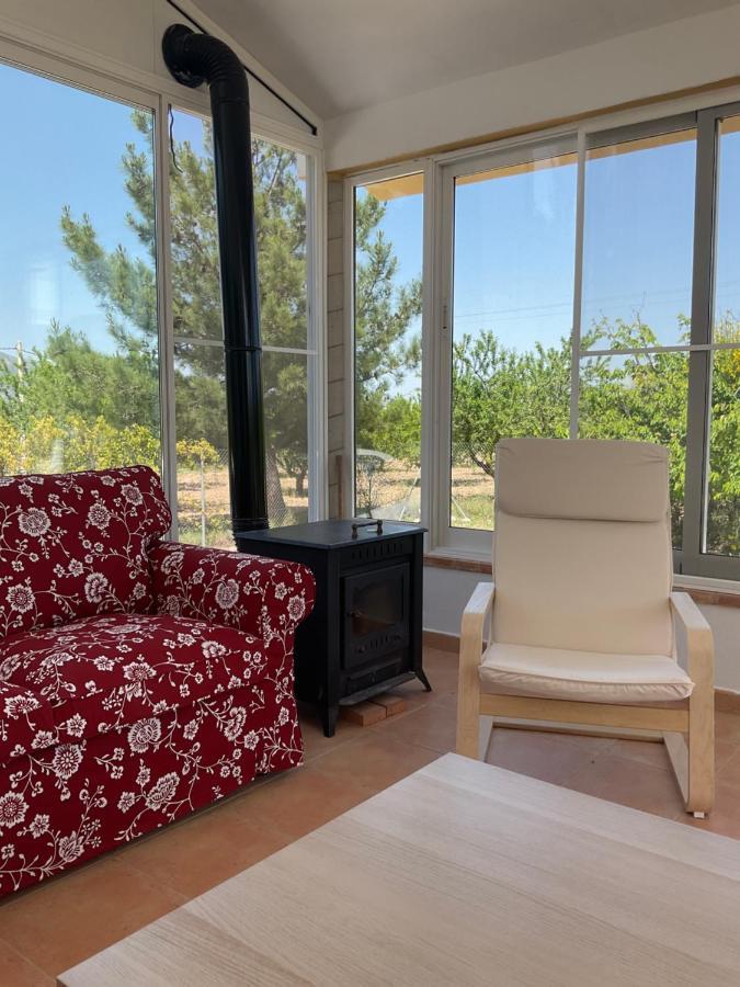 La Antigua Casa Del Astronomo Casa Rural Ricote Kültér fotó